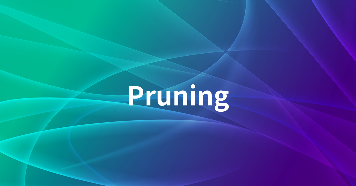 Pruningとは何か
